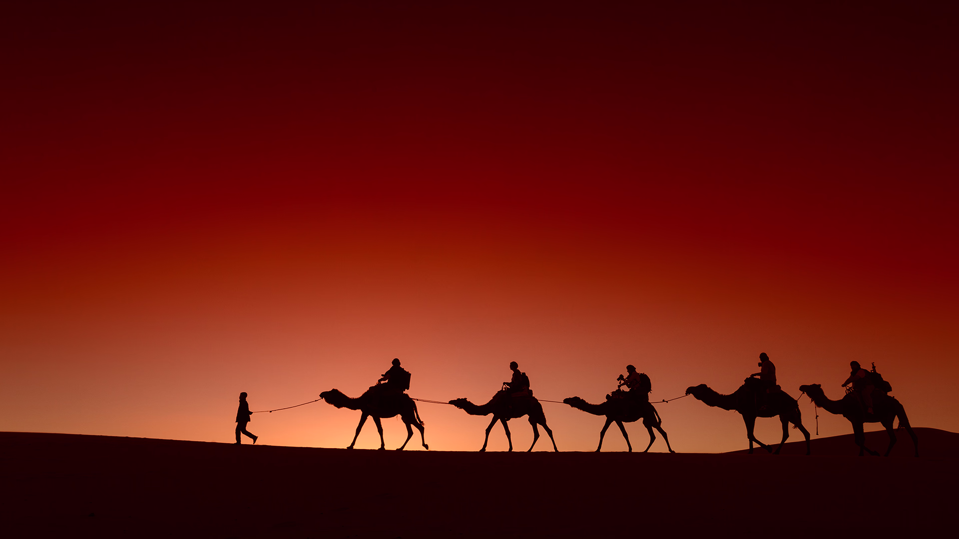 Caravana de camellos avanzando entre las dunas doradas del Sahara marroquí