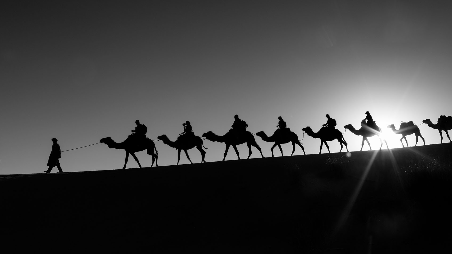 Caravana de camellos sobre las dunas doradas del desierto del Sahara